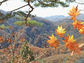 外交部回应莫迪最新对华表态：赞赏|界面新闻 · 快讯